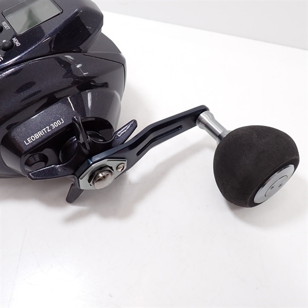 ２３レオブリッツ３００Ｊ